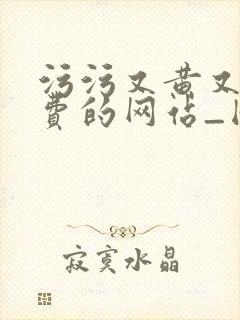 污污又黄又爽免费的网站_国产在线精