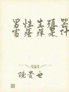 男性生殖器阴毛处瘙痒是什么原因