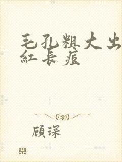毛孔粗大出油泛红长痘封面
