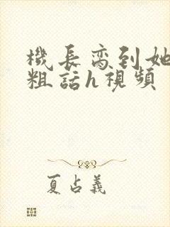 机长脔到她哭h粗话h视频