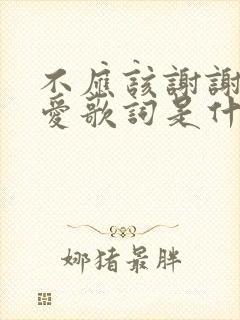 不应该谢谢你的爱歌词是什么歌封面