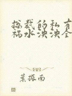 总裁的私有宝贝祸水泱泱全文阅读