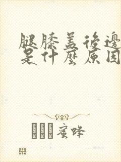 腿膝盖后边筋疼是什么原因
