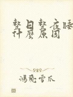 整日整夜睡不着什么原因封面