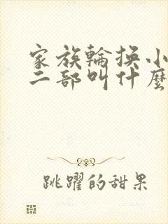 家族轮换小说第二部叫什么名字