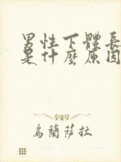 男性下体长阴虱是什么原因