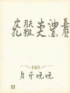 皮肤出油长痘毛孔粗大怎么办