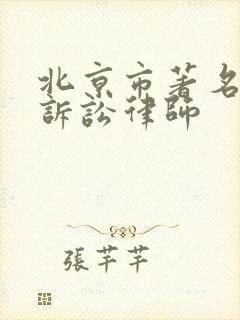 北京市著名行政诉讼律师