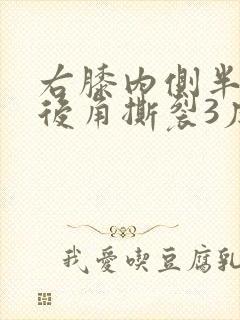 右膝内侧半月板后角撕裂3度