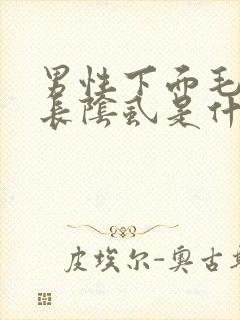 男性下面毛毛上长阴虱是什么原因