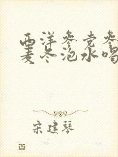 西洋参党参黄芪麦冬泡水喝功效