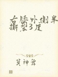 右膝外侧半月板撕裂3度