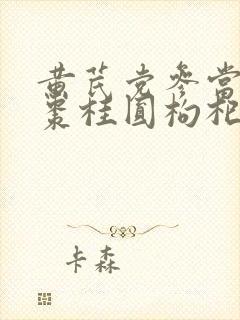 黄芪党参当归红枣桂圆枸杞