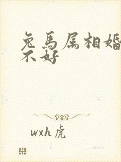 兔马属相婚配好不好