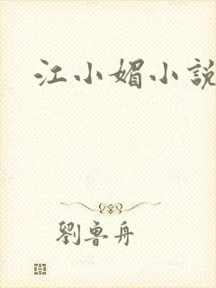 江小媚小说封面
