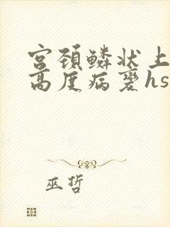 宫颈鳞状上皮内高度病变hsil