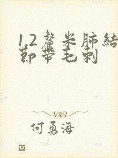 1.2厘米肺结节带毛刺封面