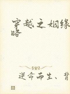 穿越之姻缘劫攻略
