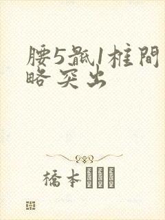 腰5骶1椎间盘略突出封面