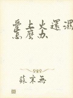 爱上火还湿气重怎么办