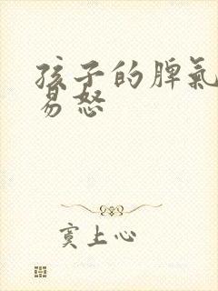 孩子的脾气暴躁易怒封面