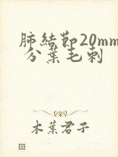 肺结节20mm 分叶毛刺