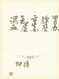 湿气重脾胃弱气血虚怎么办