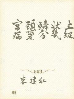 宫颈鳞状上皮内病变分几级