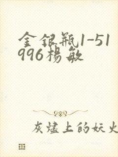 金银瓶1-51996杨敏封面