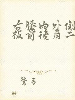 右膝内外侧半月板前后角二级损伤