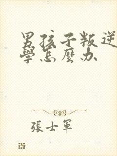 男孩子叛逆不上学怎么办封面