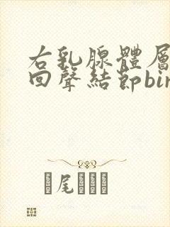 右乳腺体层内低回声结节birads3类封面