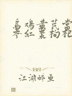 乌鸡黄芪当归党参红枣枸杞汤功效