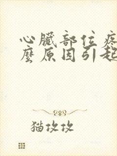 心脏部位疼是什么原因引起的