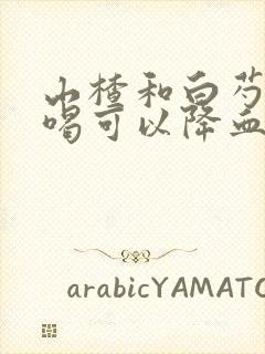 山楂和白芍煮水喝可以降血压吗