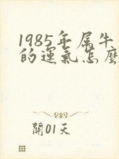 1985年属牛的运气怎么样封面