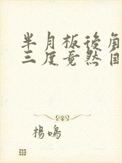 书籍封面