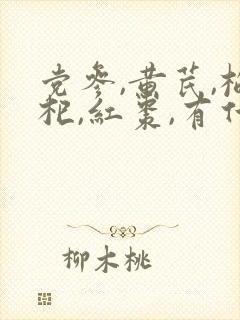 党参,黄芪,枸杞,红枣,有什么功效?