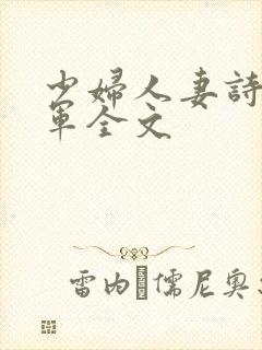 少妇人妻诗雨小军全文封面