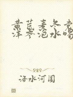 黄芪麦冬党参西洋参泡水喝功效