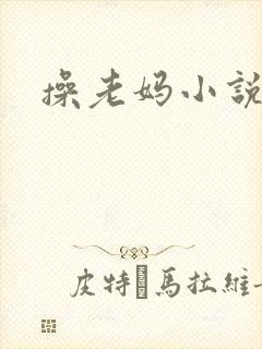 操老妈小说