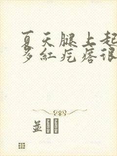 夏天腿上起了好多红疙瘩很痒