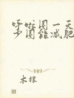 呼啦圈一天转多少圈能减肥