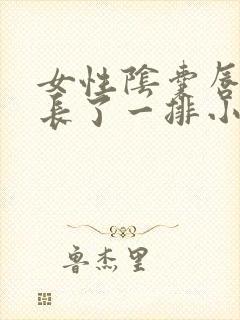 女性阴囊唇内侧长了一排小疙瘩
