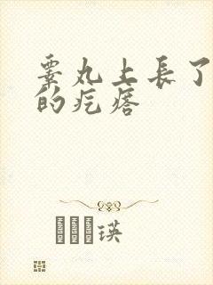睾丸上长了很硬的疙瘩