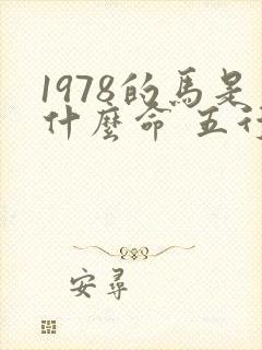 1978的马是什么命 五行属什么