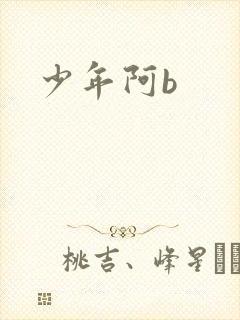 少年阿b封面