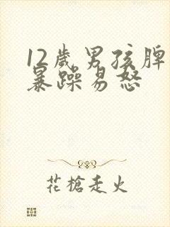 12岁男孩脾气暴躁易怒封面