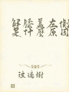 解膝盖左侧疼痛是什么原因