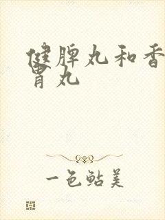 健脾丸和香砂养胃丸封面